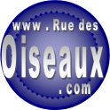 Rue des oiseaux